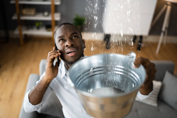 Best 24/7 water damage repair  in USA